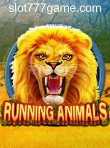 RunningAnimals
